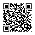 To view this 2010 MERCEDES-BENZ R-CLASS Harrisburg PA from Rauls Auto Sales, please scan this QR code with your smartphone or tablet to view the mobile version of this page.