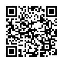 To view this 2009 HONDA ODYSSEY Harrisburg PA from Rauls Auto Sales, please scan this QR code with your smartphone or tablet to view the mobile version of this page.