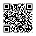 To view this 2010 FORD FUSION Harrisburg PA from Rauls Auto Sales, please scan this QR code with your smartphone or tablet to view the mobile version of this page.