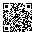 To view this 2006 HONDA ACCORD Harrisburg PA from Rauls Auto Sales, please scan this QR code with your smartphone or tablet to view the mobile version of this page.
