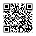 To view this 2014 AUDI Q7 Harrisburg PA from Rauls Auto Sales, please scan this QR code with your smartphone or tablet to view the mobile version of this page.