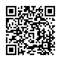 To view this 2006 SCION XB Harrisburg PA from Rauls Auto Sales, please scan this QR code with your smartphone or tablet to view the mobile version of this page.