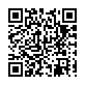 To view this 2006 LINCOLN TOWN CAR Harrisburg PA from Rauls Auto Sales, please scan this QR code with your smartphone or tablet to view the mobile version of this page.