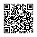 To view this 2014 KIA SOUL Harrisburg PA from Rauls Auto Sales, please scan this QR code with your smartphone or tablet to view the mobile version of this page.