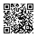 To view this 2008 HYUNDAI AZERA Harrisburg PA from Rauls Auto Sales, please scan this QR code with your smartphone or tablet to view the mobile version of this page.