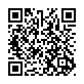 To view this 2020 HYUNDAI PALISADE Harrisburg PA from Rauls Auto Sales, please scan this QR code with your smartphone or tablet to view the mobile version of this page.