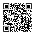 To view this 2015 LINCOLN MKX Harrisburg PA from Rauls Auto Sales, please scan this QR code with your smartphone or tablet to view the mobile version of this page.