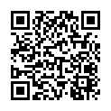 To view this 2012 VOLVO S60 Harrisburg PA from Rauls Auto Sales, please scan this QR code with your smartphone or tablet to view the mobile version of this page.