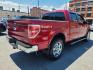 2013 RED FORD F150 KING RANCH SUPERCREW (1FTFW1EF4DK) with an 5.0L engine, Automatic transmission, located at 7981 Paxton Street, Harrisburg, PA, 17111, (717) 561-2926, 40.261490, -76.749229 - WE FINANCE!!! Good Credit/ Bad Credit/ No Credit - ALL Trade-Ins Welcomed!!! ***Guaranteed Credit Approval*** APPLY ONLINE or CALL us TODAY ;) Internet Prices and Marketplace Prices are SPECIAL discounted ***CASH DEALS*** Retail Prices are higher. Please call us to discuss your cash and finan - Photo#4