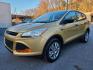 2014 GOLD FORD ESCAPE S (1FMCU0F71EU) with an 2.5L engine, Automatic transmission, located at 7981 Paxton Street, Harrisburg, PA, 17111, (717) 561-2926, 40.261490, -76.749229 - WE FINANCE!!! Good Credit/ Bad Credit/ No Credit - ALL Trade-Ins Welcomed!!! ***Guaranteed Credit Approval*** APPLY ONLINE or CALL us TODAY ;) Internet Prices and Marketplace Prices are SPECIAL discounted ***CASH DEALS*** Retail Prices are higher. Please call us to discuss your cash and finan - Photo#0