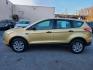 2014 GOLD FORD ESCAPE S (1FMCU0F71EU) with an 2.5L engine, Automatic transmission, located at 7981 Paxton Street, Harrisburg, PA, 17111, (717) 561-2926, 40.261490, -76.749229 - WE FINANCE!!! Good Credit/ Bad Credit/ No Credit - ALL Trade-Ins Welcomed!!! ***Guaranteed Credit Approval*** APPLY ONLINE or CALL us TODAY ;) Internet Prices and Marketplace Prices are SPECIAL discounted ***CASH DEALS*** Retail Prices are higher. Please call us to discuss your cash and finan - Photo#1