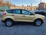 2014 GOLD FORD ESCAPE S (1FMCU0F71EU) with an 2.5L engine, Automatic transmission, located at 7981 Paxton Street, Harrisburg, PA, 17111, (717) 561-2926, 40.261490, -76.749229 - WE FINANCE!!! Good Credit/ Bad Credit/ No Credit - ALL Trade-Ins Welcomed!!! ***Guaranteed Credit Approval*** APPLY ONLINE or CALL us TODAY ;) Internet Prices and Marketplace Prices are SPECIAL discounted ***CASH DEALS*** Retail Prices are higher. Please call us to discuss your cash and finan - Photo#4
