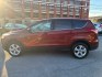 2014 ORANGE FORD ESCAPE SE (1FMCU9GX6EU) with an 1.6L engine, Automatic transmission, located at 117 North Cameron Street, Harrisburg, PA, 17101, (717) 963-8962, 40.266762, -76.875259 - WE FINANCE!!! MOST vehicles are available for financing. Good Credit/ Challenged Credit/ No Credit - ALL Trade-Ins Welcomed!!! APPLY ONLINE or CALL us TODAY Please call us to discuss your cash and/or financing options. Thanks for checking our inventory! We're here to help.- Photo#1