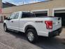 2015 WHITE FORD F150 SUPER CAB (1FTFX1EF2FF) with an 5.0L engine, Automatic transmission, located at 7981 Paxton Street, Harrisburg, PA, 17111, (717) 561-2926, 40.261490, -76.749229 - WE FINANCE!!! Good Credit/ Bad Credit/ No Credit - ALL Trade-Ins Welcomed!!! ***Guaranteed Credit Approval*** APPLY ONLINE or CALL us TODAY ;) Internet Prices and Marketplace Prices are SPECIAL discounted ***CASH DEALS*** Retail Prices are higher. Please call us to discuss your cash and finan - Photo#4