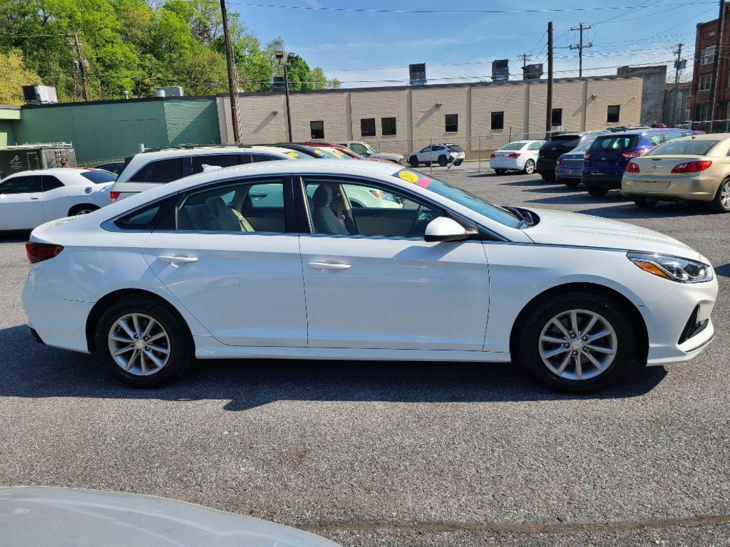 2019 WHITE HYUNDAI SONATA SE (5NPE24AF4KH) with an 2.4L engine, Automatic transmission, located at 7981 Paxton Street, Harrisburg, PA, 17111, (717) 561-2926, 40.261490, -76.749229 - WE FINANCE!!! Good Credit/ Bad Credit/ No Credit - ALL Trade-Ins Welcomed!!! ***Guaranteed Credit Approval*** APPLY ONLINE or CALL us TODAY ;) Internet Prices and Marketplace Prices are SPECIAL discounted ***CASH DEALS*** Retail Prices are higher. Please call us to discuss your cash and finan - Photo#2